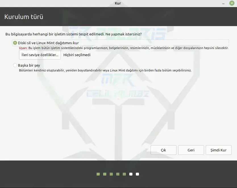linux-mint-install-type-13