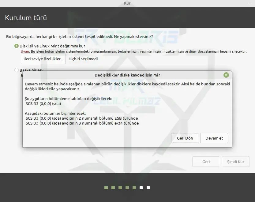 linux-mint-install-type-2-14