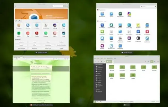 linux-mint-windows